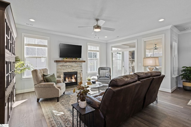 living room with a fireplace, a healthy amount of sunlight, and crown molding