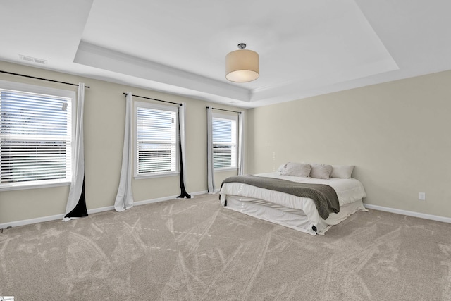 carpeted bedroom with a tray ceiling