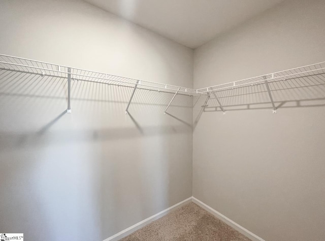 508 Pennystone Ln, Simpsonville, SC 29681 - spacious closet featuring carpet
