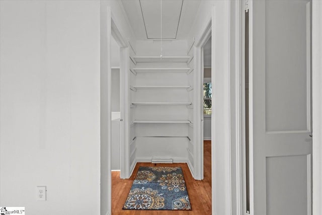 walk in closet with wood-type flooring