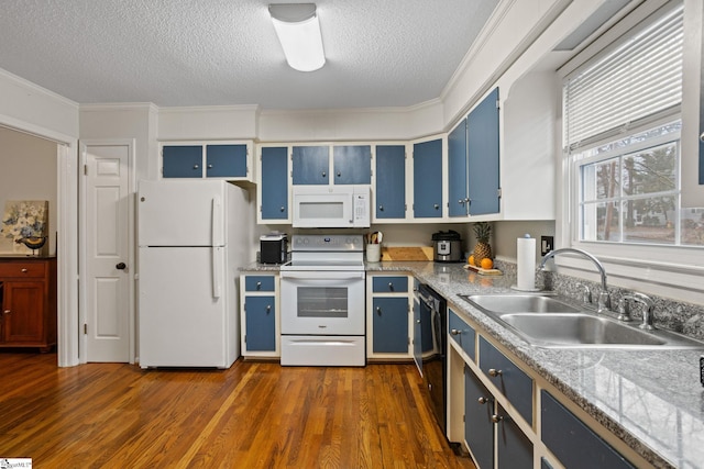 kitchen with sink, dark hardwood / wood-style flooring, blue cabinets, crown molding, and white appliances