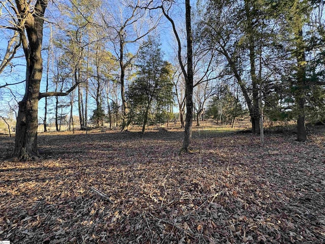 Listing photo 3 for 306 Timms Mill Rd, Williamston SC 29697