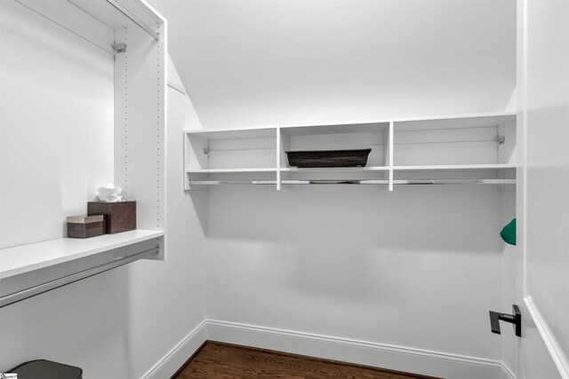 walk in closet with dark hardwood / wood-style flooring