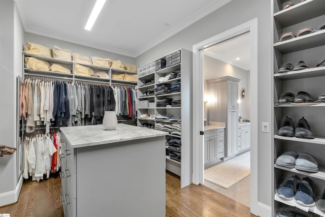 spacious closet with hardwood / wood-style floors