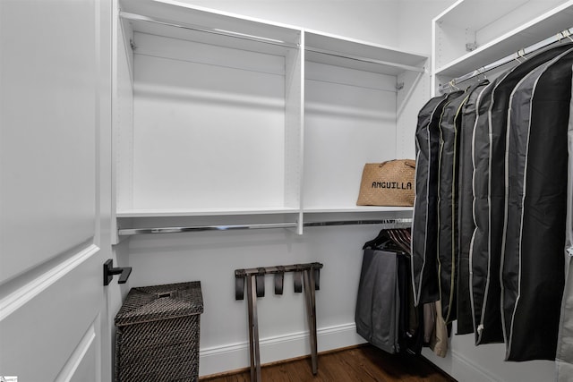 spacious closet with dark wood-type flooring