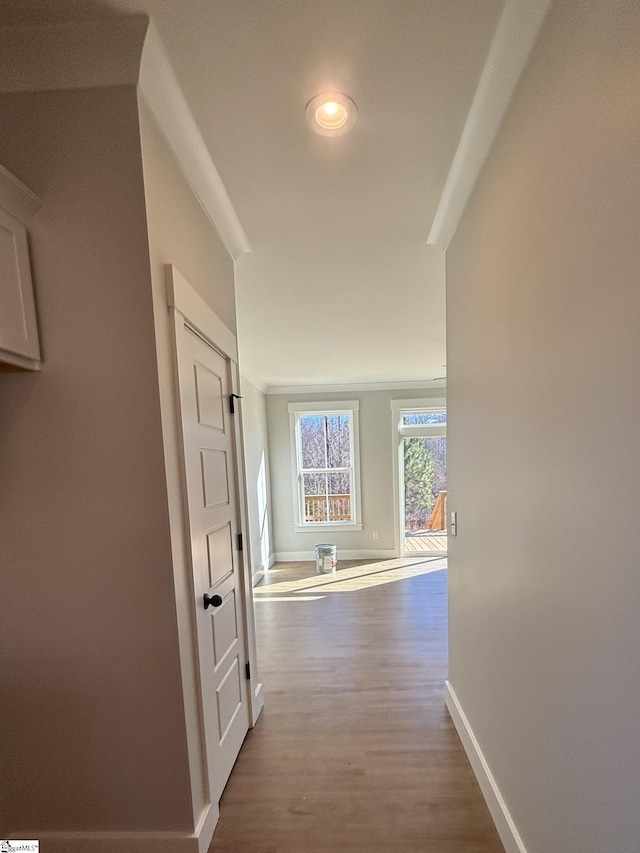 corridor featuring light wood-type flooring and ornamental molding