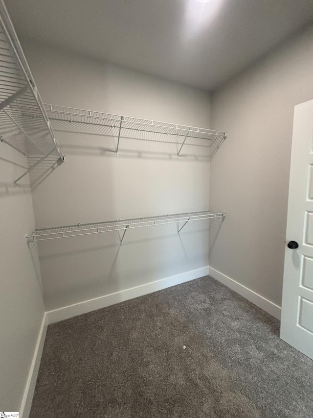 spacious closet featuring dark carpet