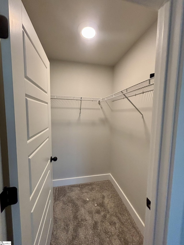 spacious closet with dark colored carpet