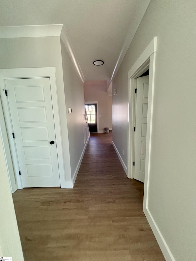 hall featuring wood-type flooring and ornamental molding