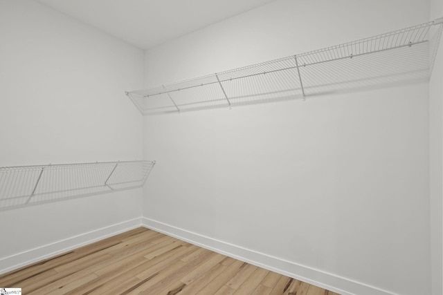 spacious closet featuring hardwood / wood-style floors