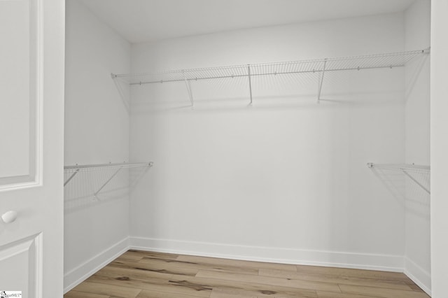 spacious closet featuring hardwood / wood-style flooring