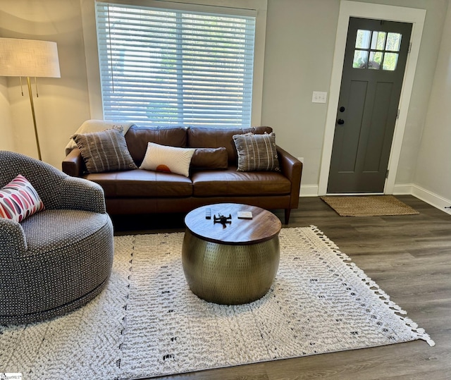 living room with dark hardwood / wood-style flooring