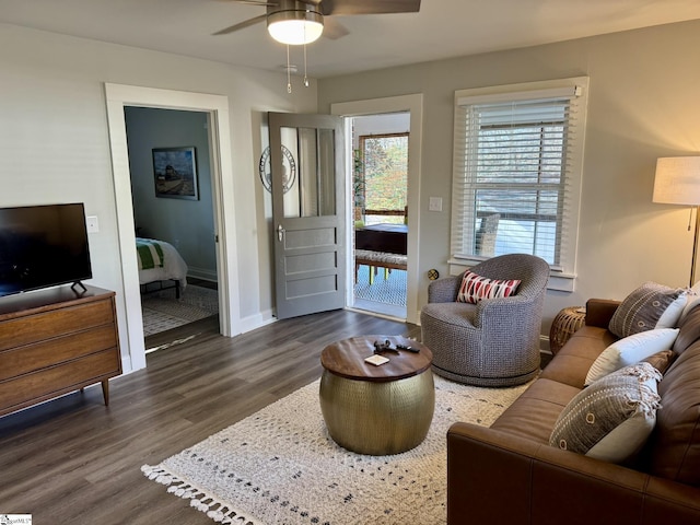 living room featuring ceiling fan and dark wood-type flooring