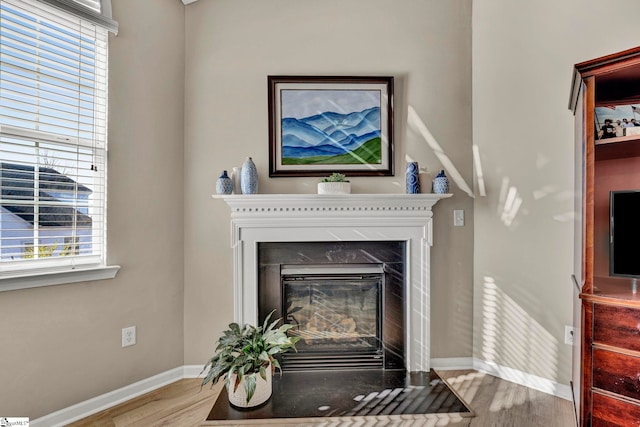 interior details with hardwood / wood-style flooring