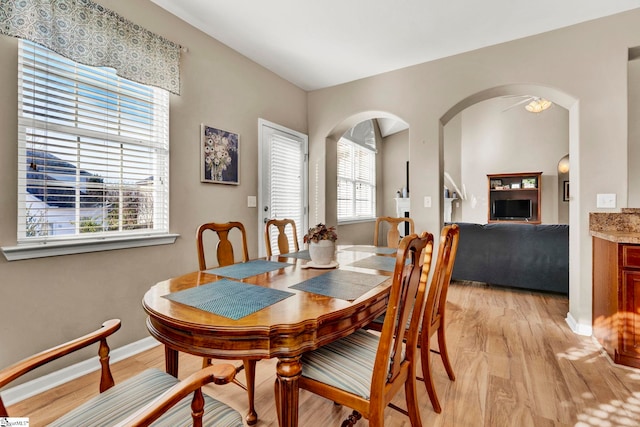 dining room with light hardwood / wood-style flooring, a wealth of natural light, and ceiling fan