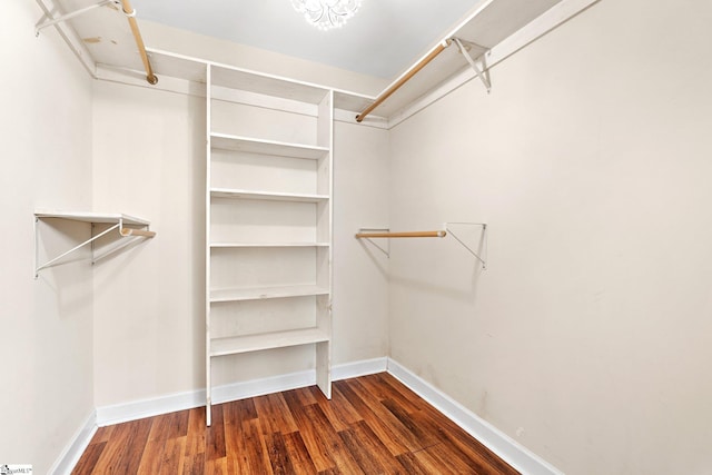 walk in closet featuring dark hardwood / wood-style floors