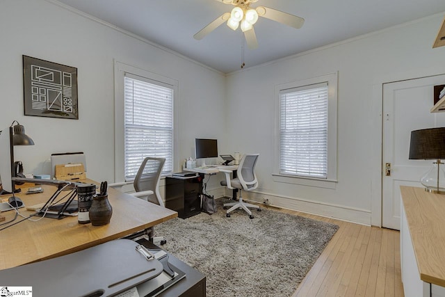 home office featuring ceiling fan, light hardwood / wood-style floors, and ornamental molding