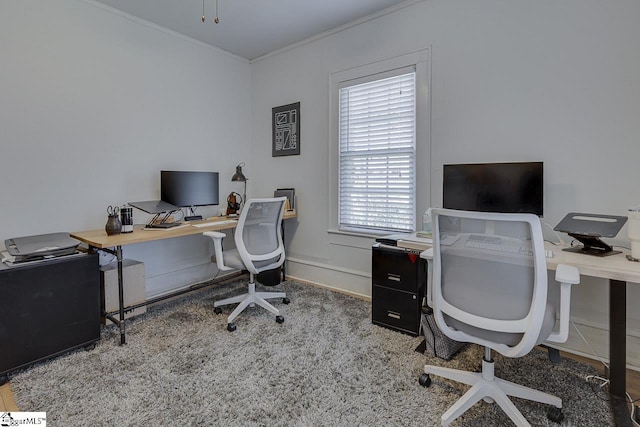 office space with ornamental molding