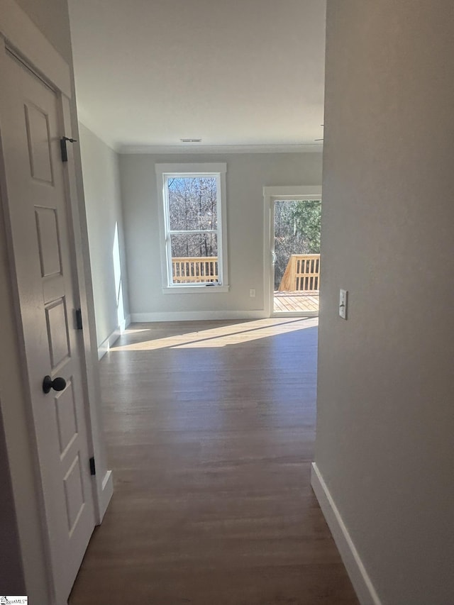 corridor featuring dark hardwood / wood-style flooring and crown molding