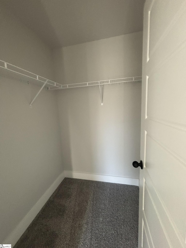 walk in closet featuring carpet