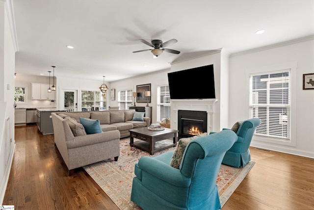 living room with ceiling fan, hardwood / wood-style floors, and ornamental molding