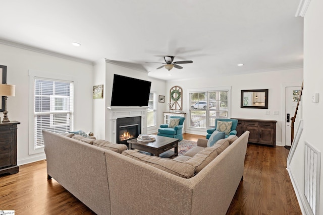 living room with ceiling fan, ornamental molding, and dark wood-type flooring