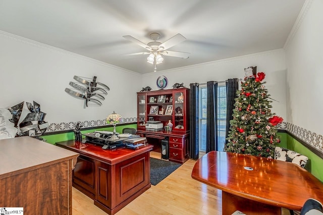 office area featuring ceiling fan, light hardwood / wood-style floors, and crown molding