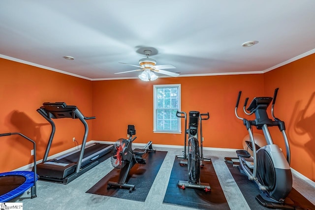 exercise area with carpet flooring, ceiling fan, and crown molding