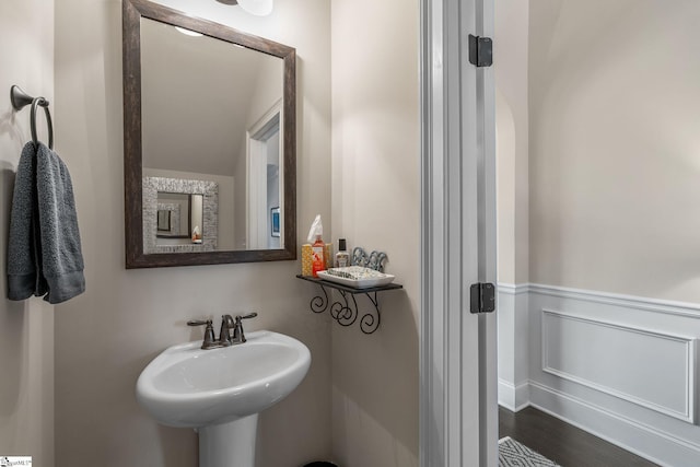 bathroom featuring sink and wood-type flooring