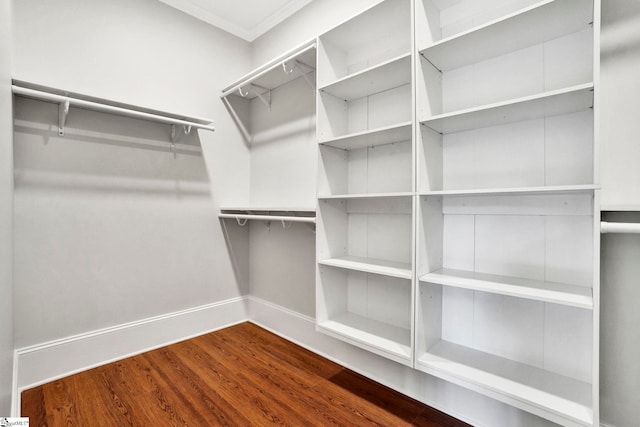 walk in closet featuring hardwood / wood-style floors