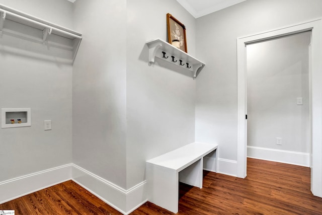 mudroom with wood-type flooring and crown molding