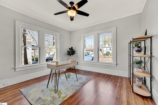 office featuring ceiling fan, dark hardwood / wood-style flooring, and ornamental molding