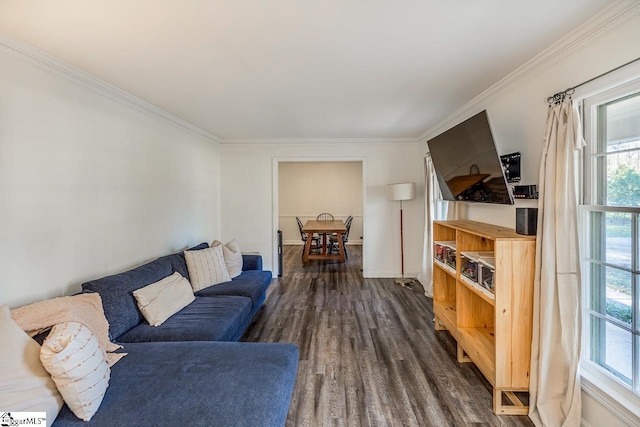 living room featuring dark hardwood / wood-style flooring and crown molding