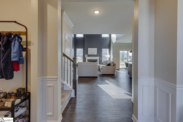 corridor featuring dark hardwood / wood-style floors and ornamental molding