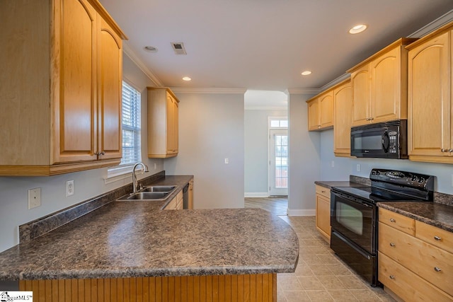 kitchen with black appliances, light brown cabinets, crown molding, and sink