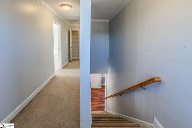 stairs with carpet flooring and crown molding