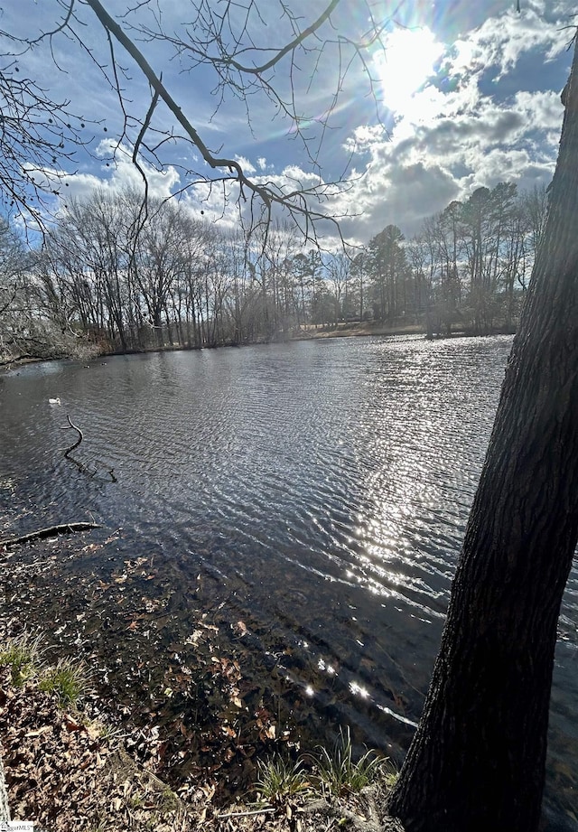 view of water feature