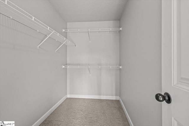 walk in closet with carpet