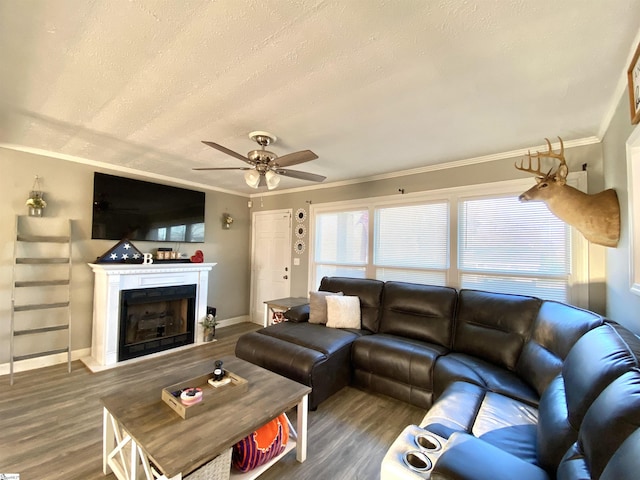 living room featuring dark hardwood / wood-style floors, ceiling fan, crown molding, and a textured ceiling