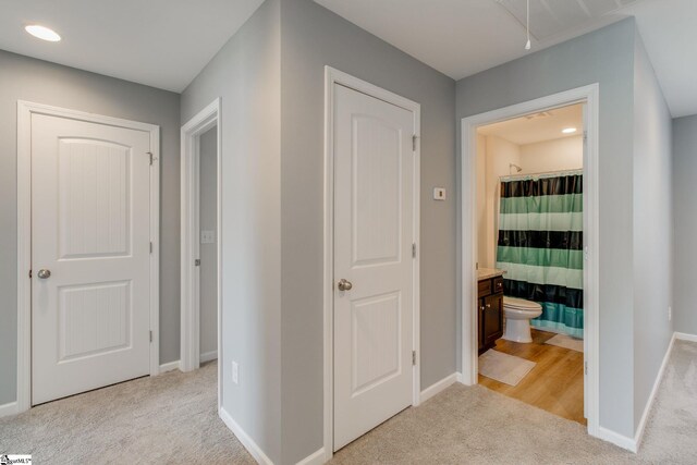 hallway featuring light carpet