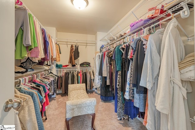 spacious closet with carpet floors