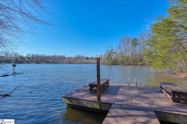 dock area with a water view