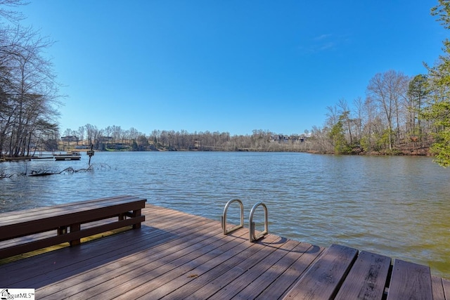 dock area with a water view