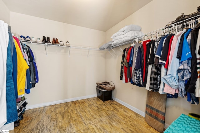 walk in closet featuring hardwood / wood-style flooring