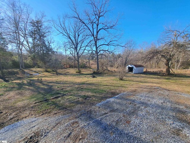 view of yard featuring a storage shed