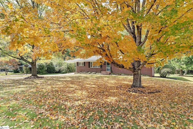 ranch-style home featuring a front lawn