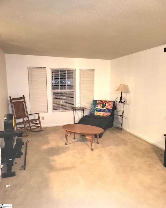 sitting room with carpet floors