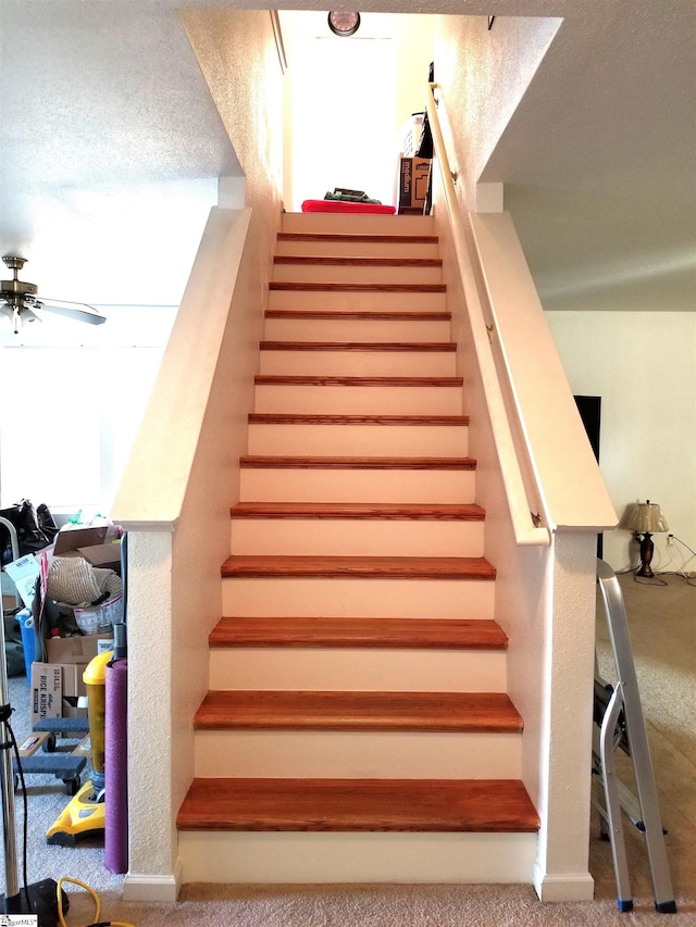 staircase featuring carpet floors