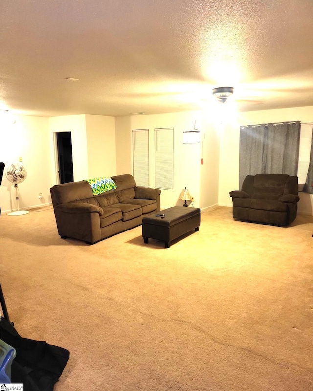 living room featuring carpet and a textured ceiling