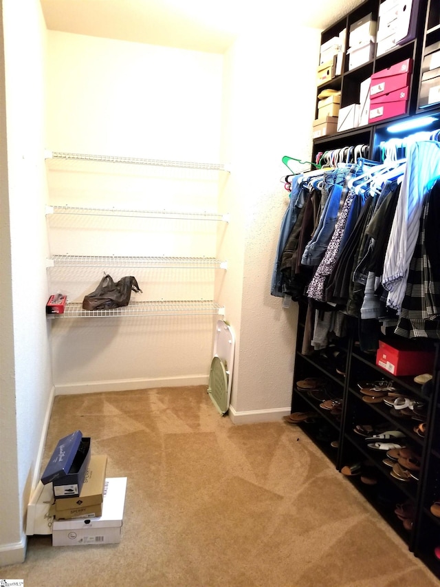 walk in closet featuring carpet